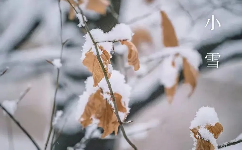 Mindre snö – vad du ska veta