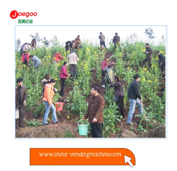 Jeogoo Company Export Department organiserade en frivillig aktivitet för växt...